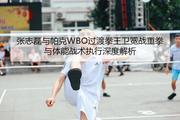张志磊与帕克WBO过渡拳王卫冕战重拳与体能战术执行深度解析