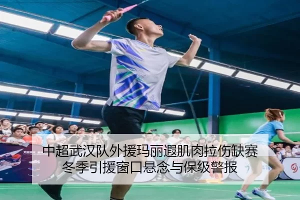 中超武汉队外援玛丽遐肌肉拉伤缺赛 冬季引援窗口悬念与保级警报